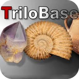 TriloBase  PC Software icon