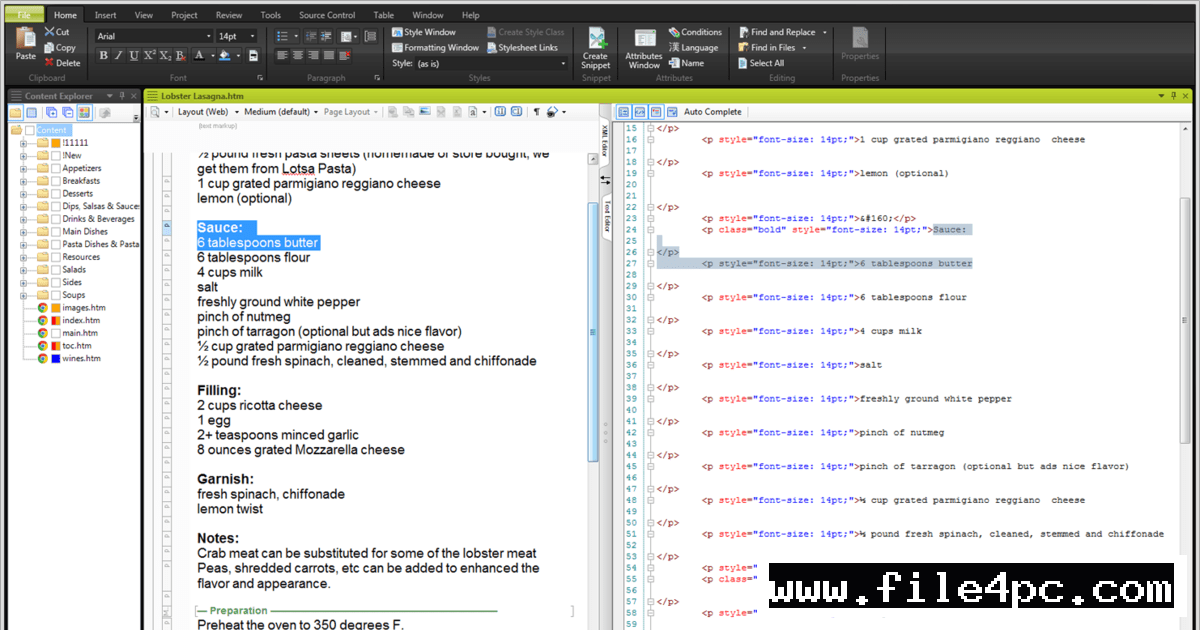 Main MadCap Flare XML Editor workspace displaying active topics, CSS styles palette, and open project explorer.