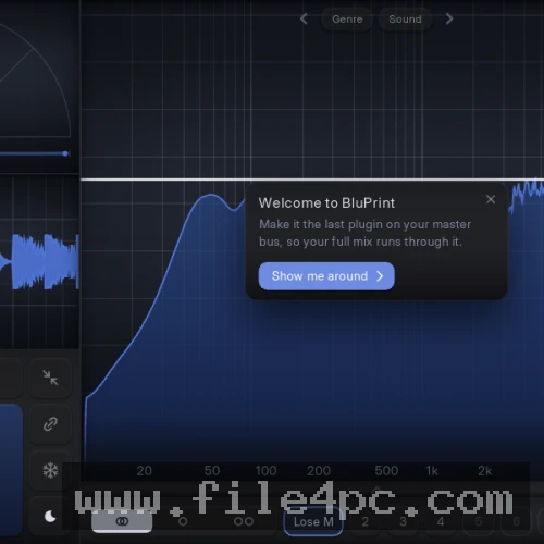 Caption: Detailed visual monitoring tools showing stereo width, phase relationships, and dynamic waveform behavior to prevent mono cancellation issues.